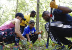 UGA students work in Brooklyn Cemetery during UGA's Dawg Day of Service.