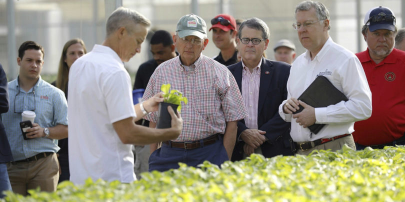 Owner and founder and Georgia alumnus Ken James, left to right, talks about a hosta plant with Agriculture Commissioner Gary Black, President Jere W. Morehead and CAES Dean Sam Pardue in one of the mist production houses at James Greenhouses in Colbert. (Andrew Davis Tucker/UGA)