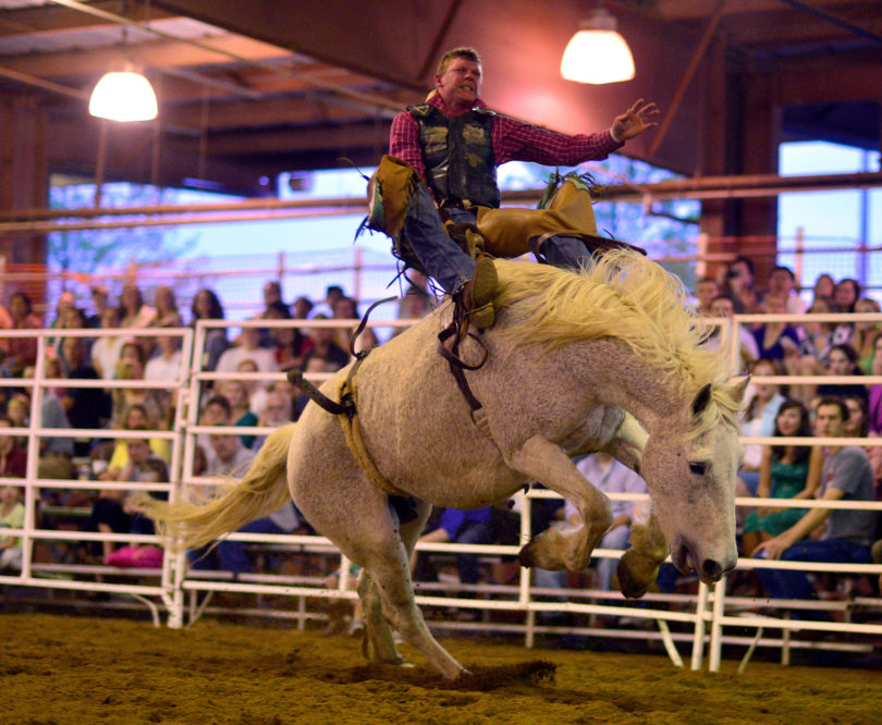 Great Southland Stampede Rodeo 2014-h. UGA Livestock Instructional Arena