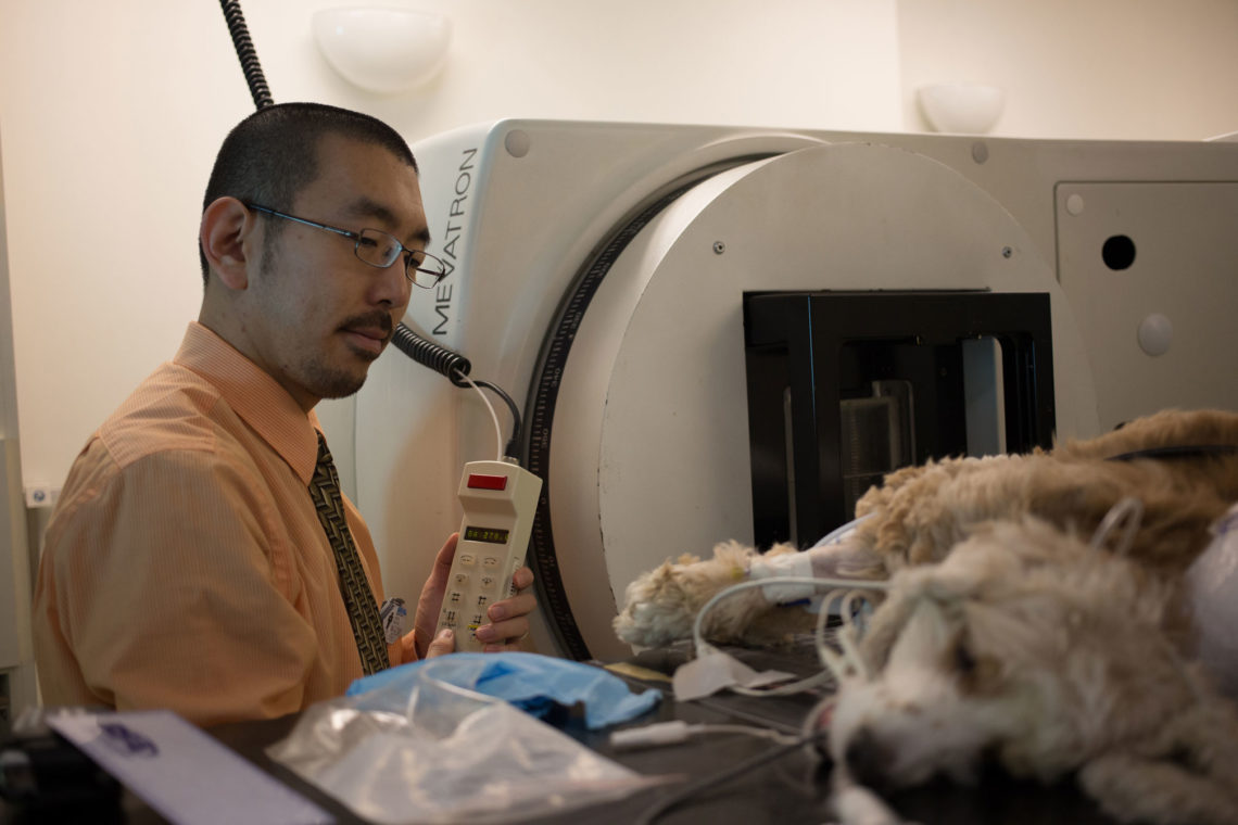 UGA Veterinary Teaching Hospital expands services, offers clinical trials UGA Today