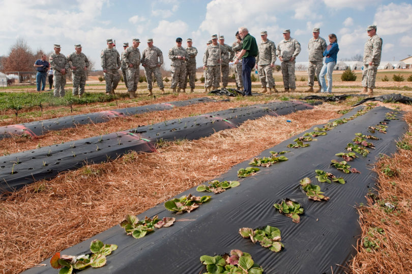 National Guardesmen crops-h.group