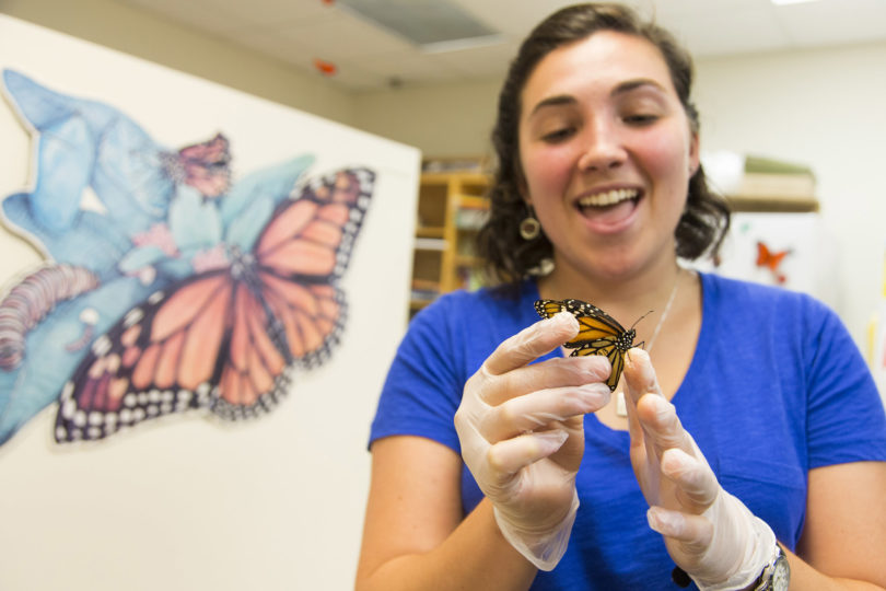 experiential learning.h-research butterfly