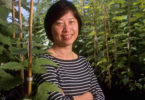 Chung-Jui Tsai-GRA Eminent Scholar