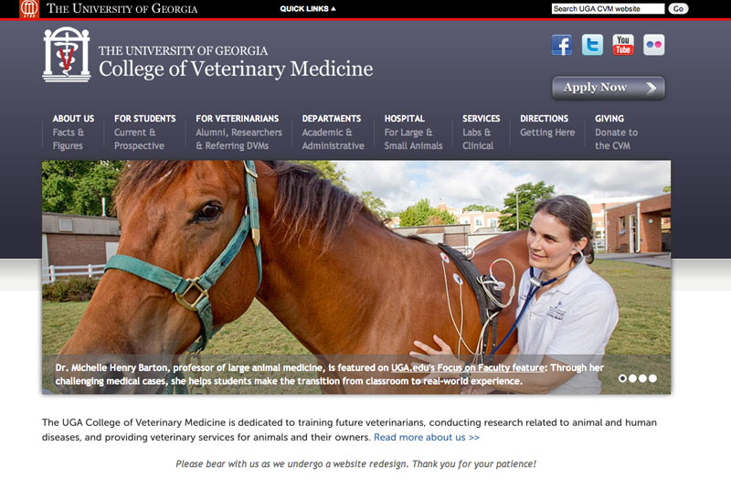 Vet medicine redesigns its website