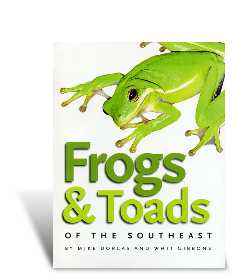 Guidebook features regional frogs and toads