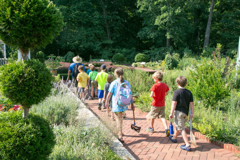 Botanical garden children on a tour-h.env