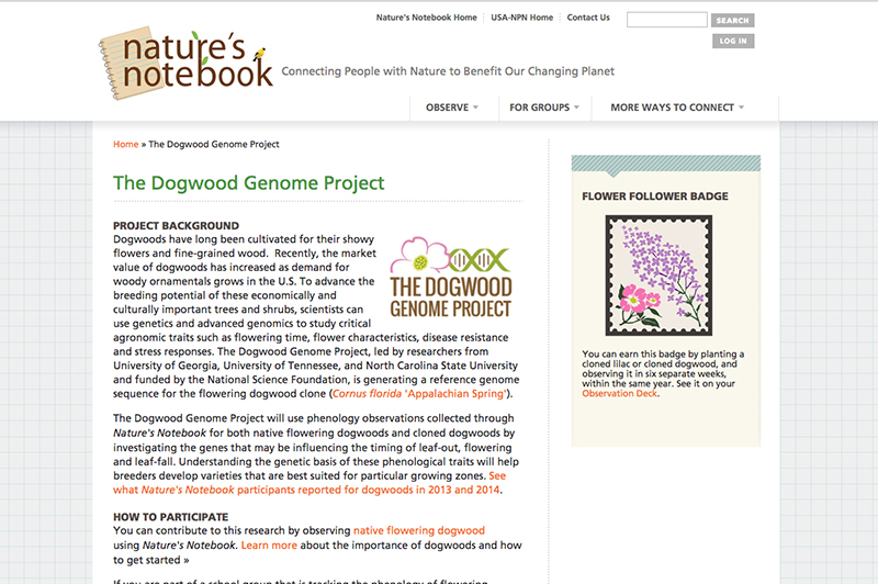 Help researchers collect dogwood data