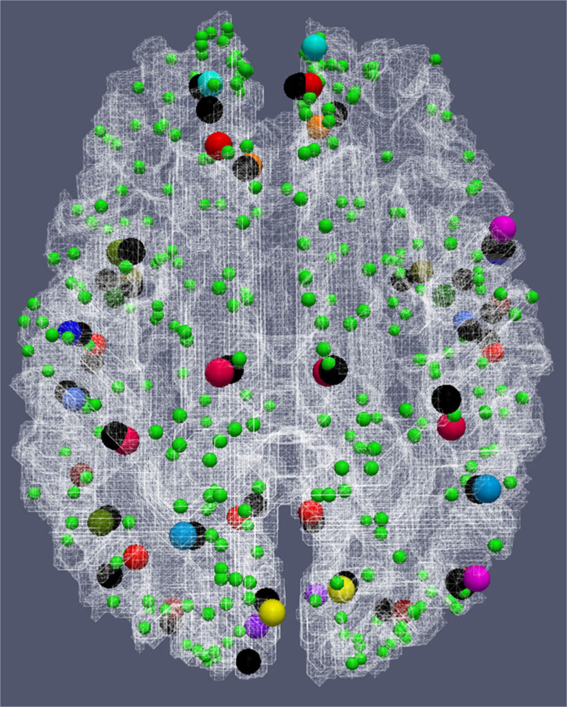 DICCCOL brain map