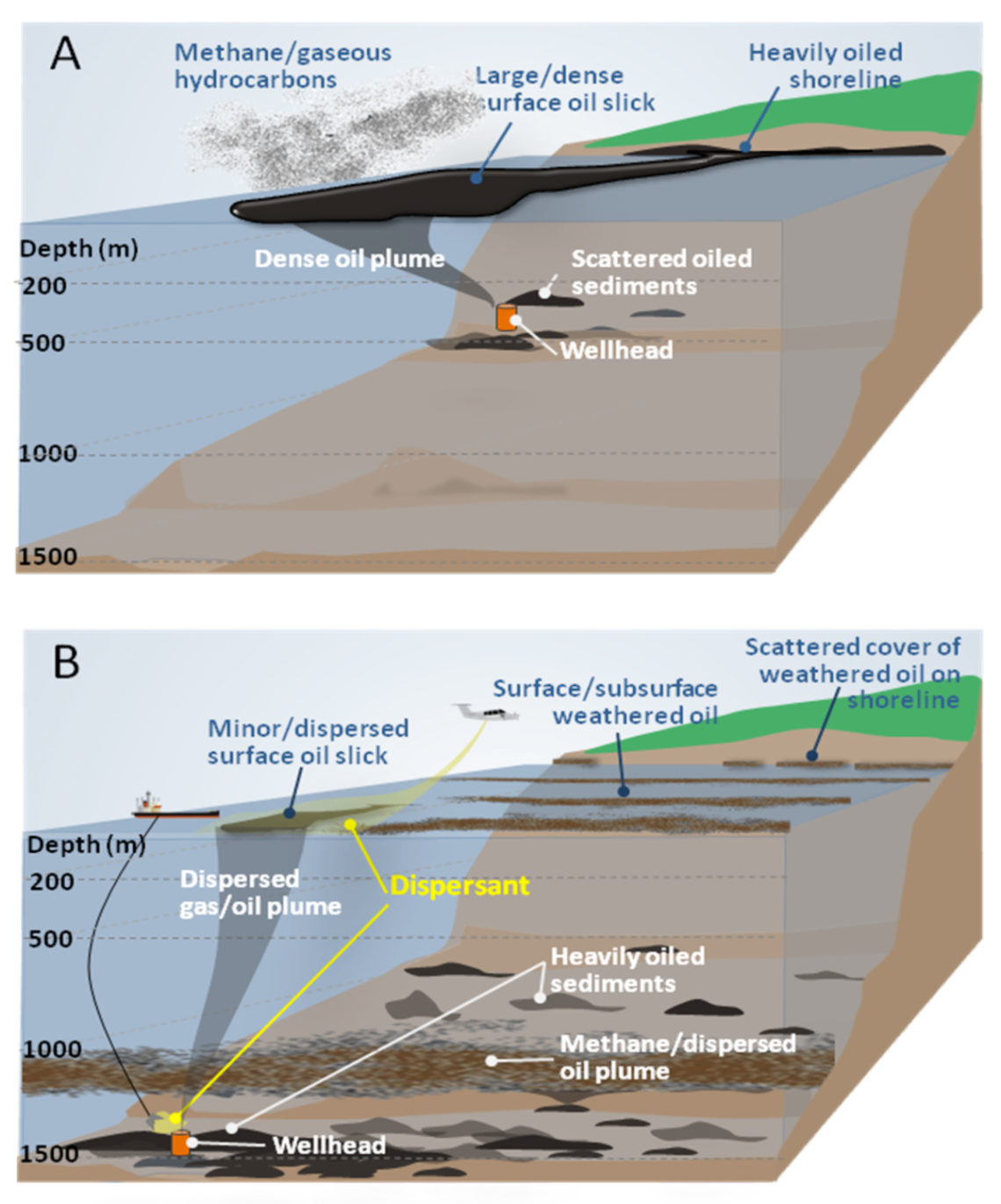 Marine scientists urge government to reassess oil spill response - UGA ...