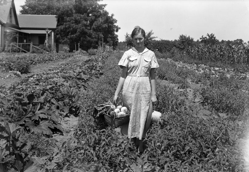 Doris Lester Dellinger UGA Extension 1935-h.photo