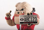UGA License Plate-hairyDog.holding-H