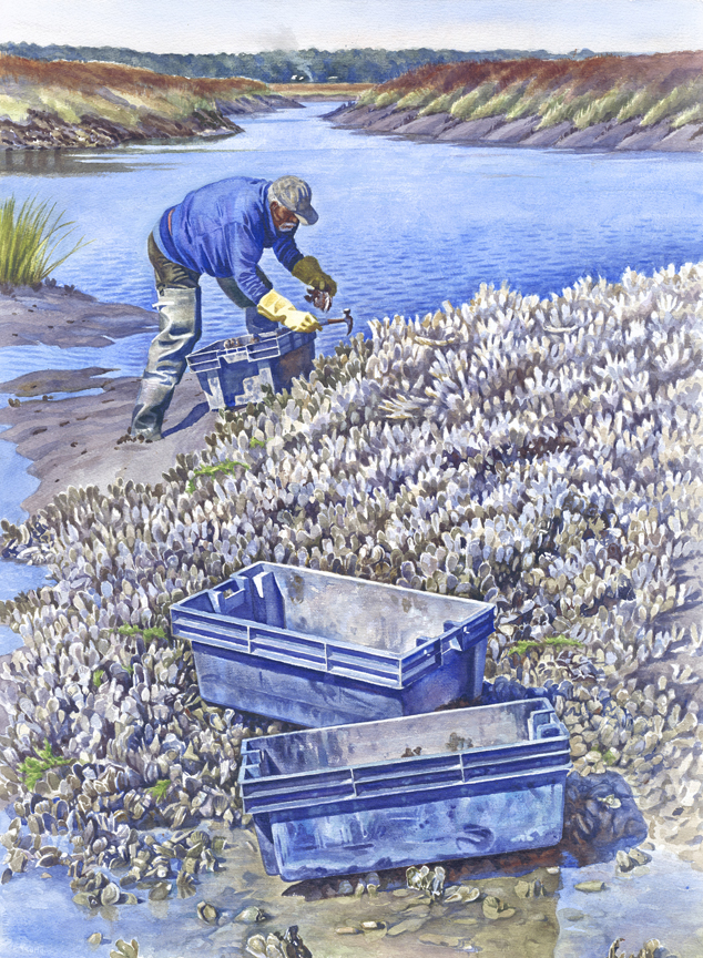 Georgia Sea Grant exhibit - Oystering by Alan Campbell-v.art
