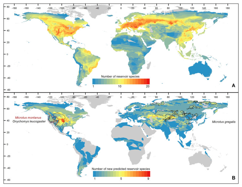 Rodent reservoir diversity-h.map
