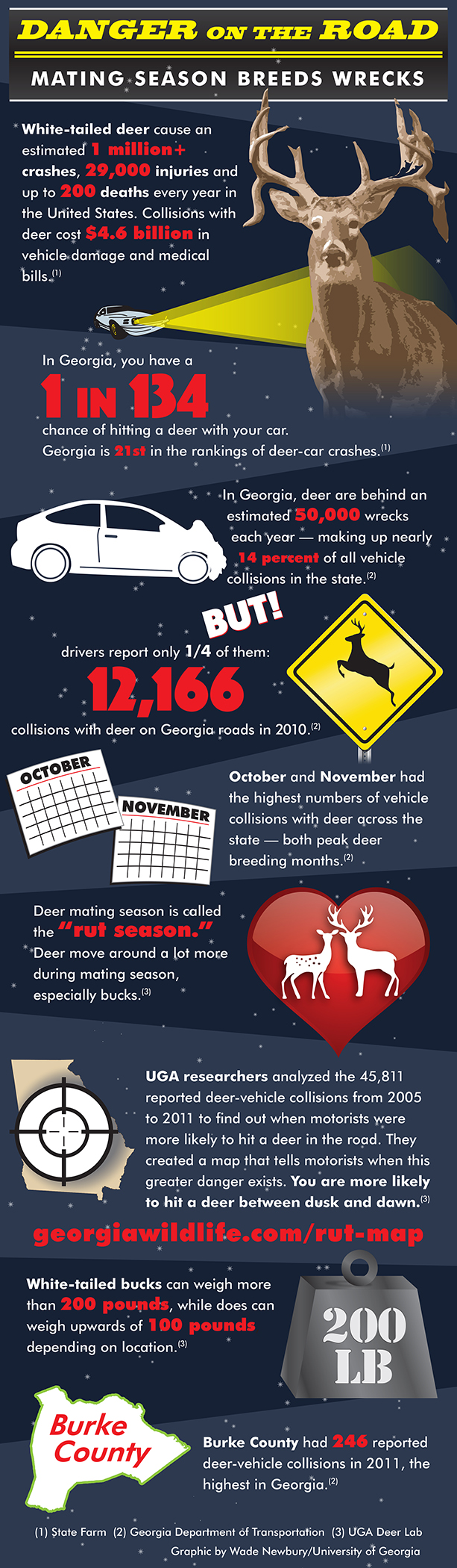 Deer mating season infographic-v.graphic