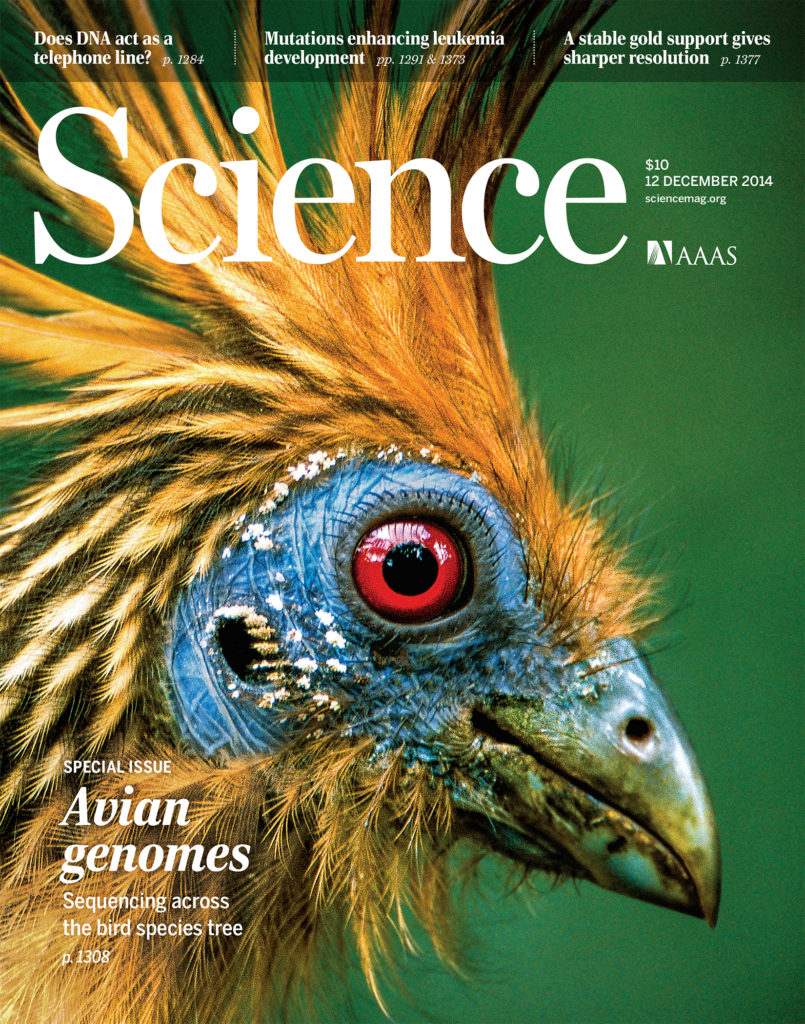 Science magazine cover bird