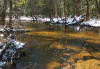 Tinker Creek SREL-h.photo