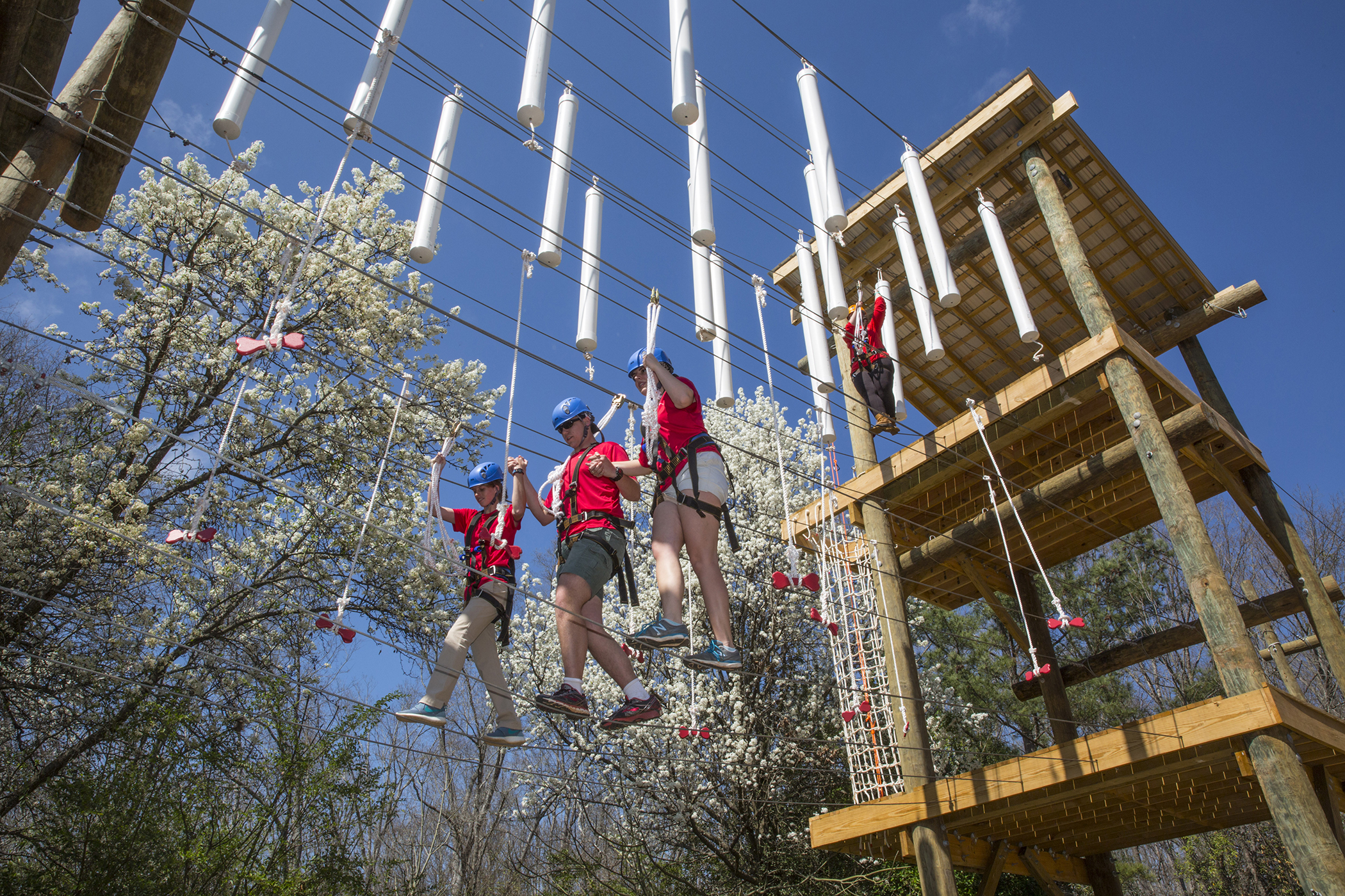UGA opens new outdoor teams challenge course - UGA Today