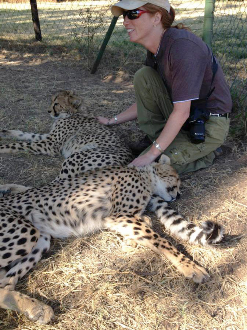 Cheetah reserve MaryAnn Radlinsky-v.photo