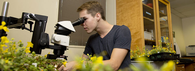CURO program gives students a jump on research