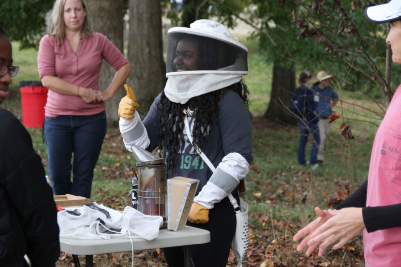 Experience UGA Beekeeper-h