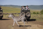 experiential learning study abroad zebra-h