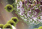 UGA Takes on Global Diseases