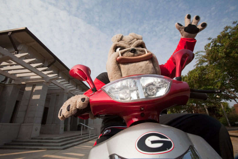 Hairy Dawg rides-A day in the life