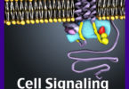 Vet med iBook - “Cell Signaling: An Introduction”-v.cover
