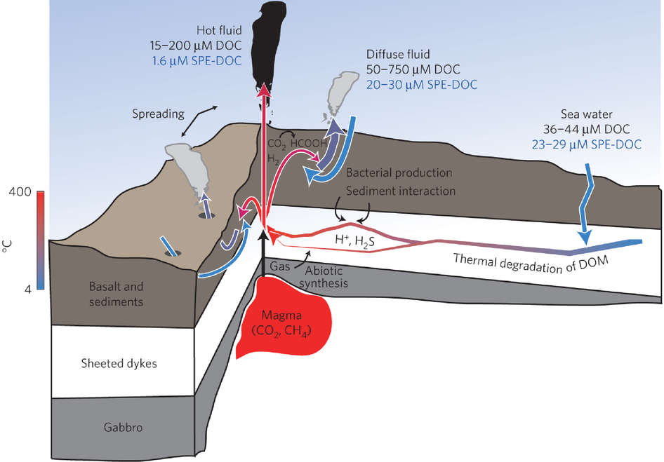 schematic hydrothermal vent environments 2015h.graphic UGA Today