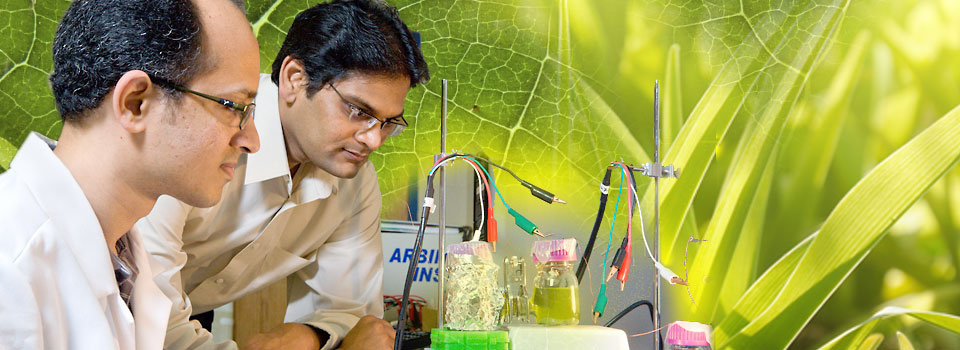 Power plants: Lab producing a brighter future