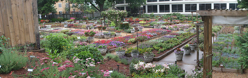 UGA Trial Garden