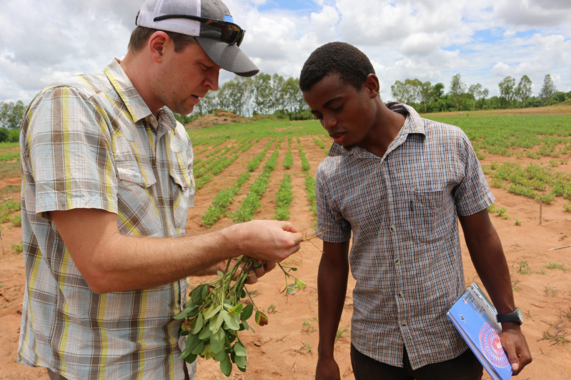 $14M To Fight Global Hunger With Peanuts - UGA Today