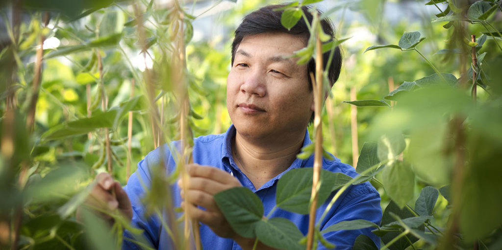 Researchers working to improve global food production