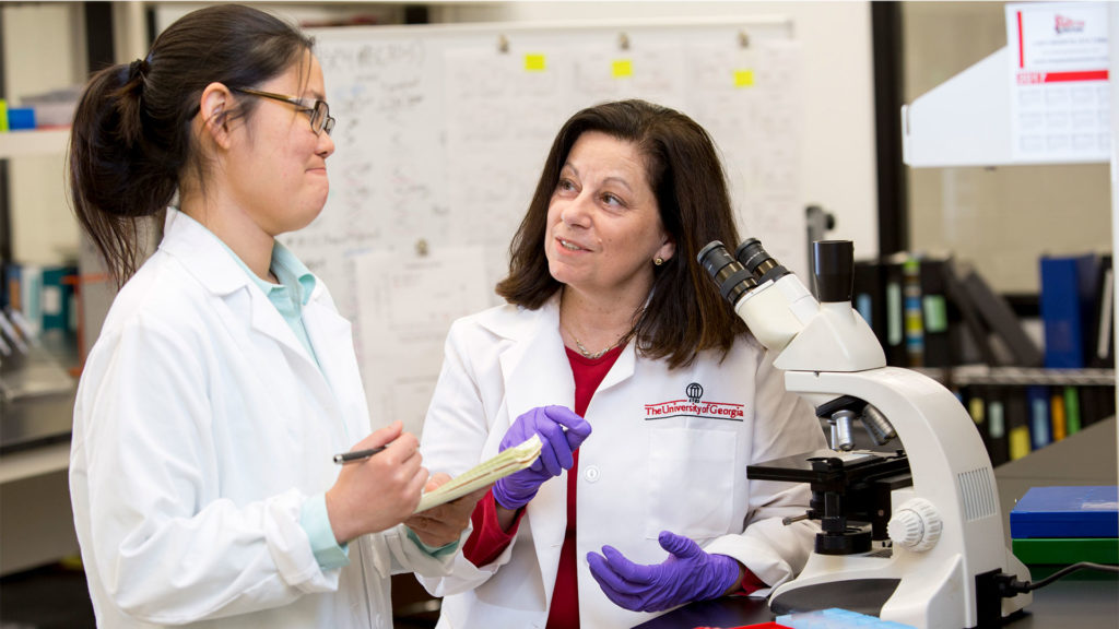 Externally funded research activity at UGA has climbed 37 percent over the past three years to reach $197 million in fiscal year 2017. Professor Karen Norris, above, is the GRA Eminent Scholar in Immunology and Translational Biomedicine in the College of Veterinary Medicine. (Photo by Dorothy Kozlowski/UGA)