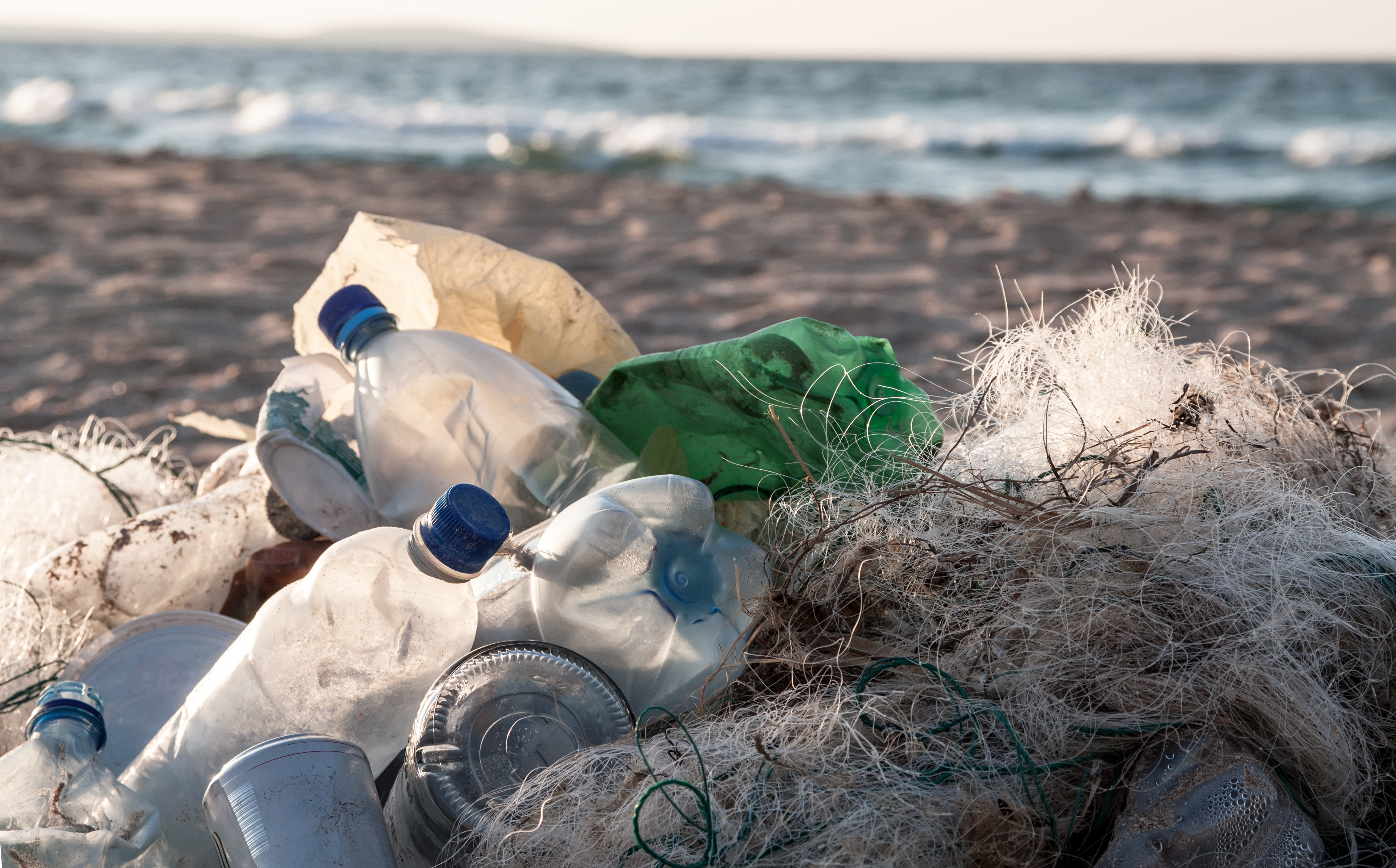 Scientists calculate impact of Chinaâs ban on plastic waste imports - UGA Today
