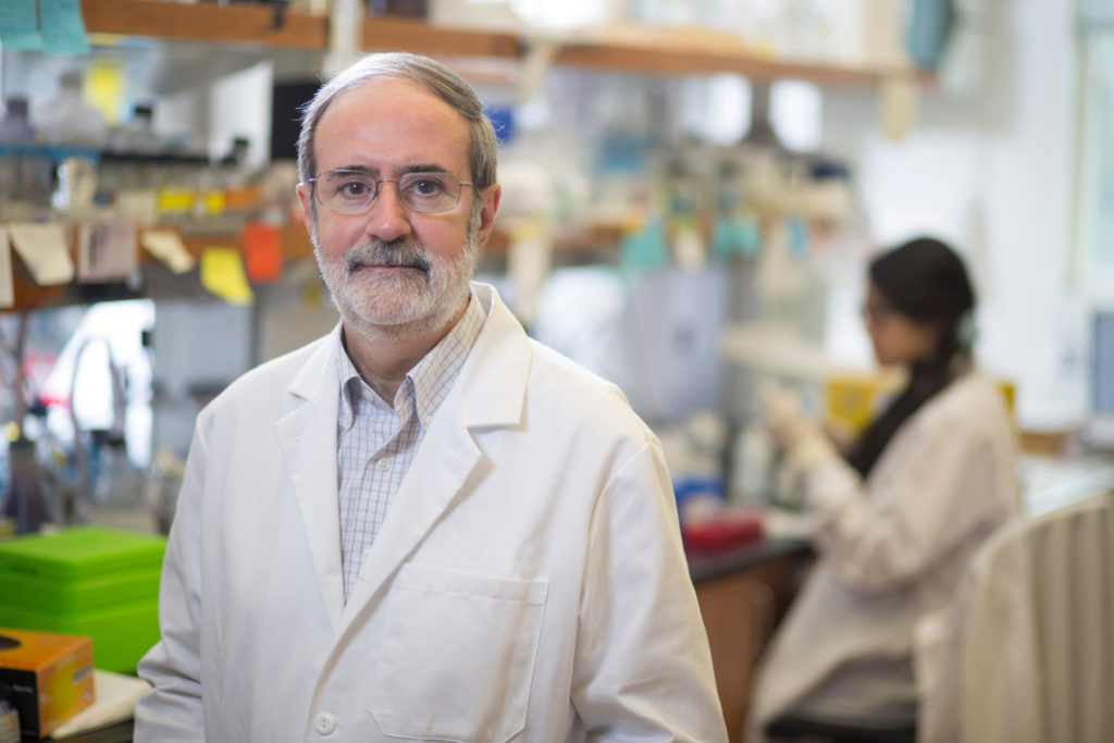 UGA researcher uses cellular biology to target lethal parasites