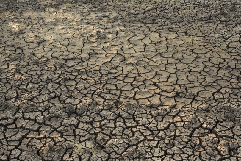 Soil drought and Famine