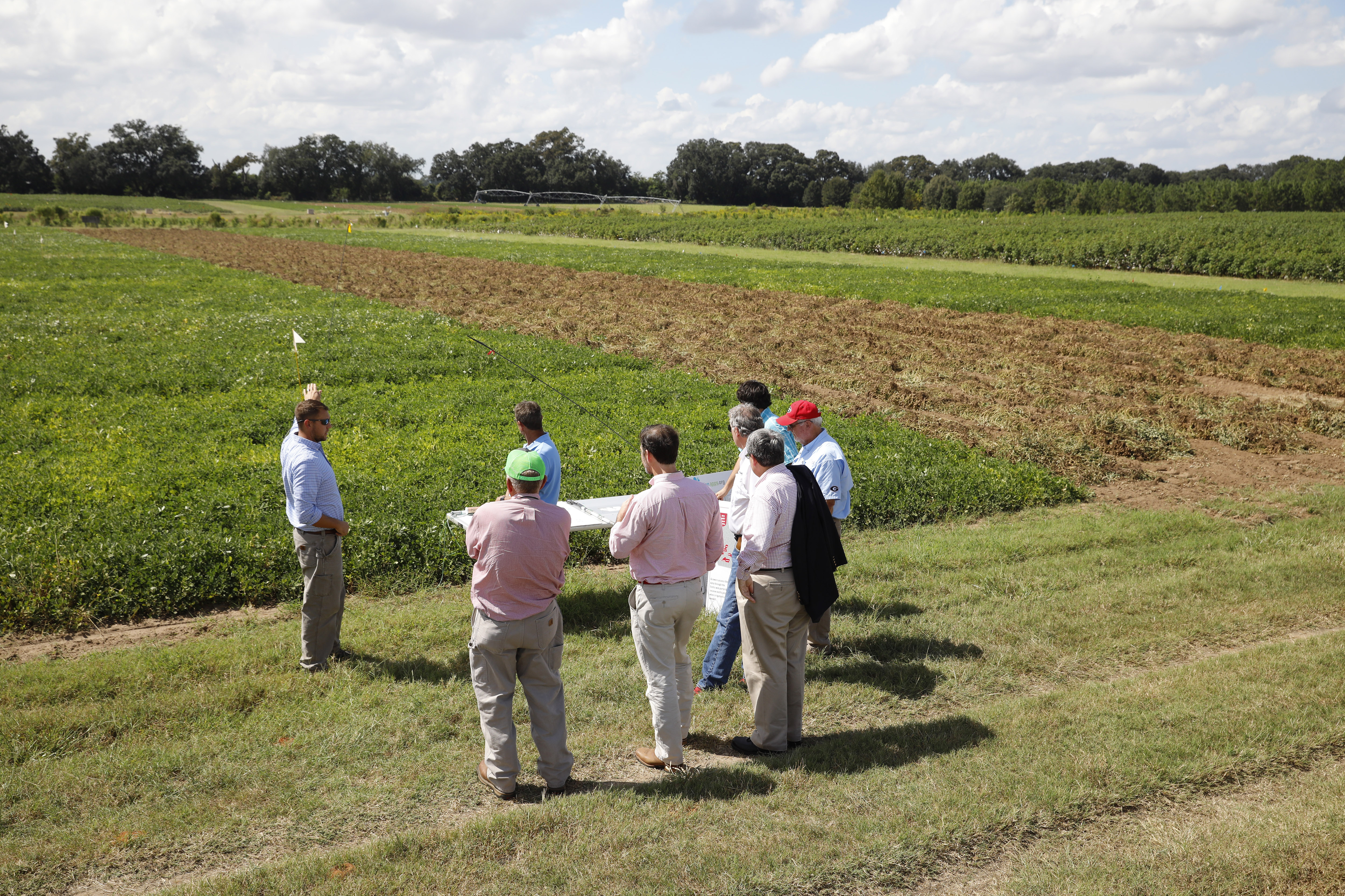 Farm Tour highlights diversity of agriculture industry UGA Today