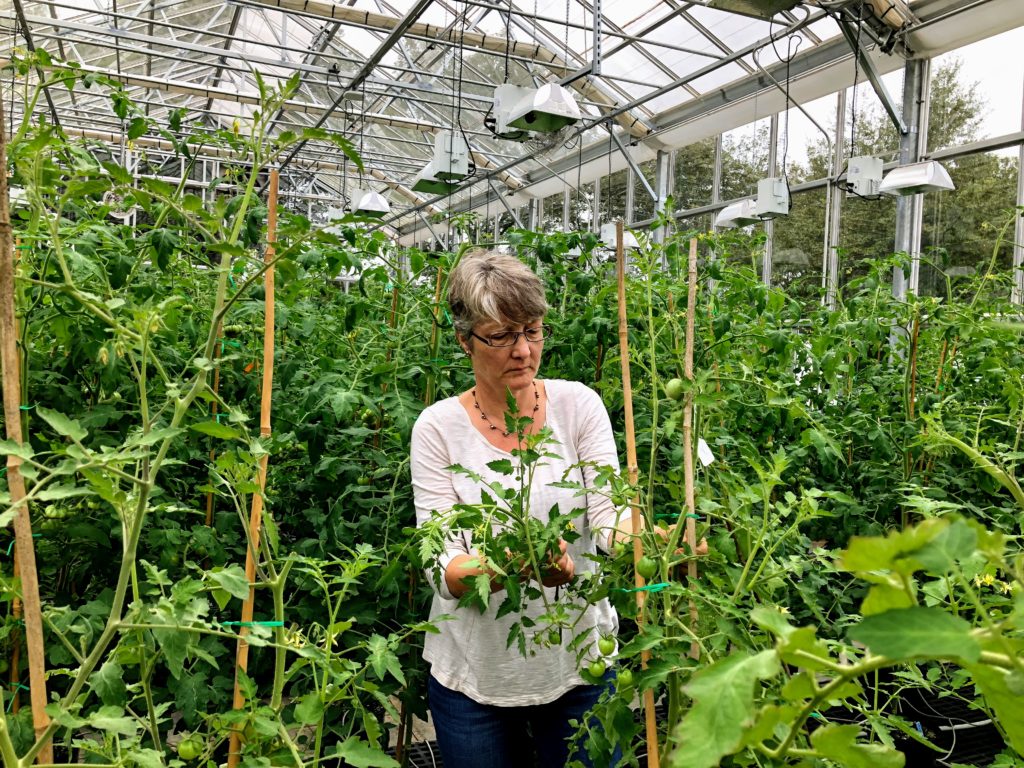 Esther van der Knapp in a greenhouse at UGA.