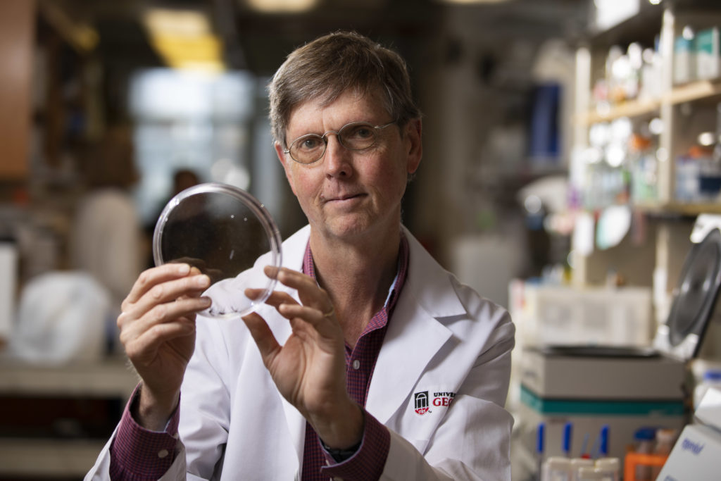 Entomology professor’s lab studying new approaches to mosquito control