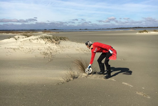 PSO Faculty Fellow tackles trash—and public health—along Georgia coastline