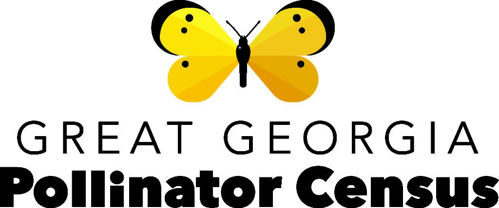 Helpers needed Aug. 23-24 for Great Georgia Pollinator Census count