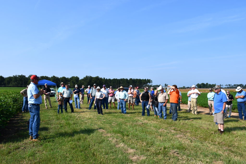 CAES faculty to present research Aug. 14 at annual Midville field day