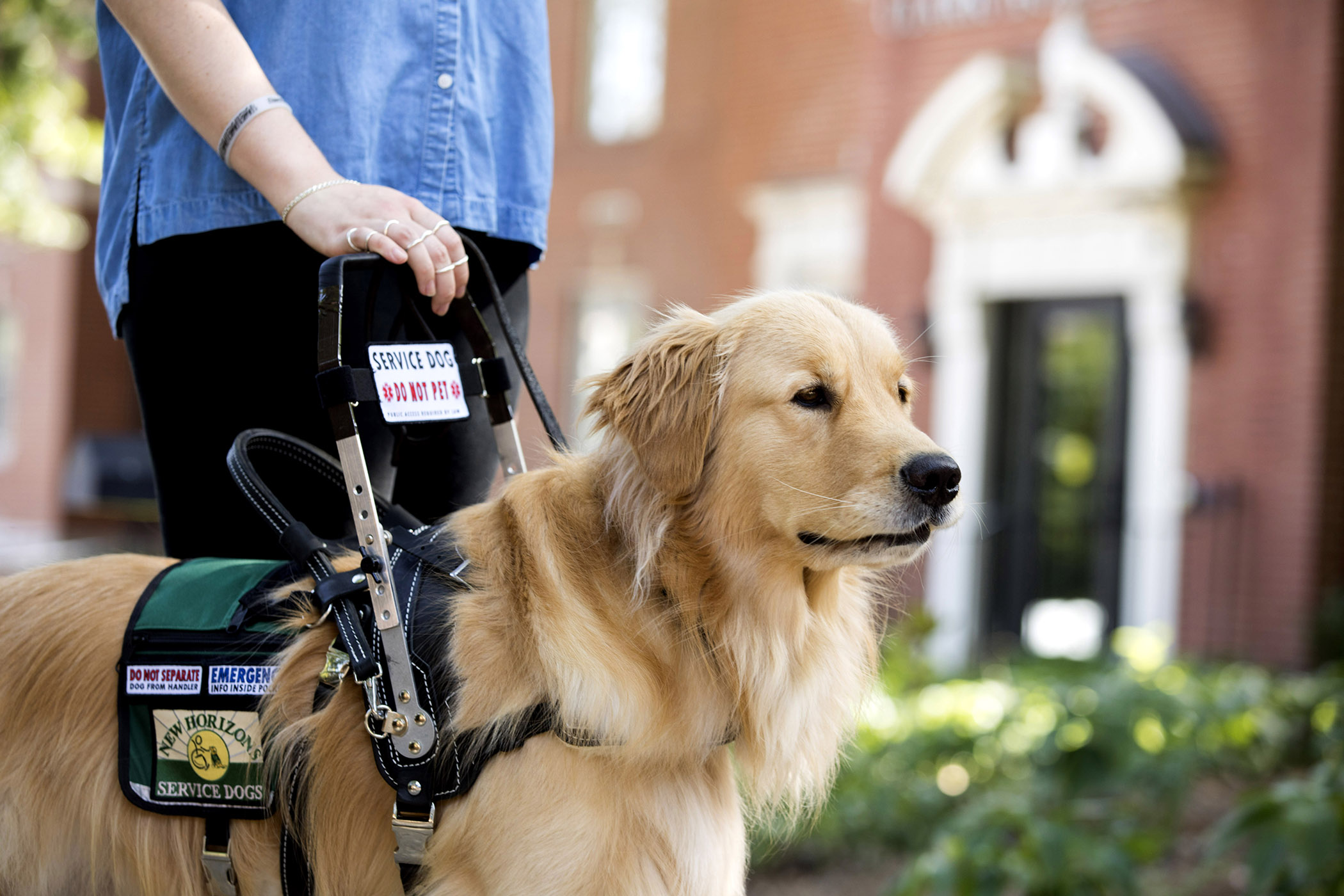 Service dog aids student's mobility
