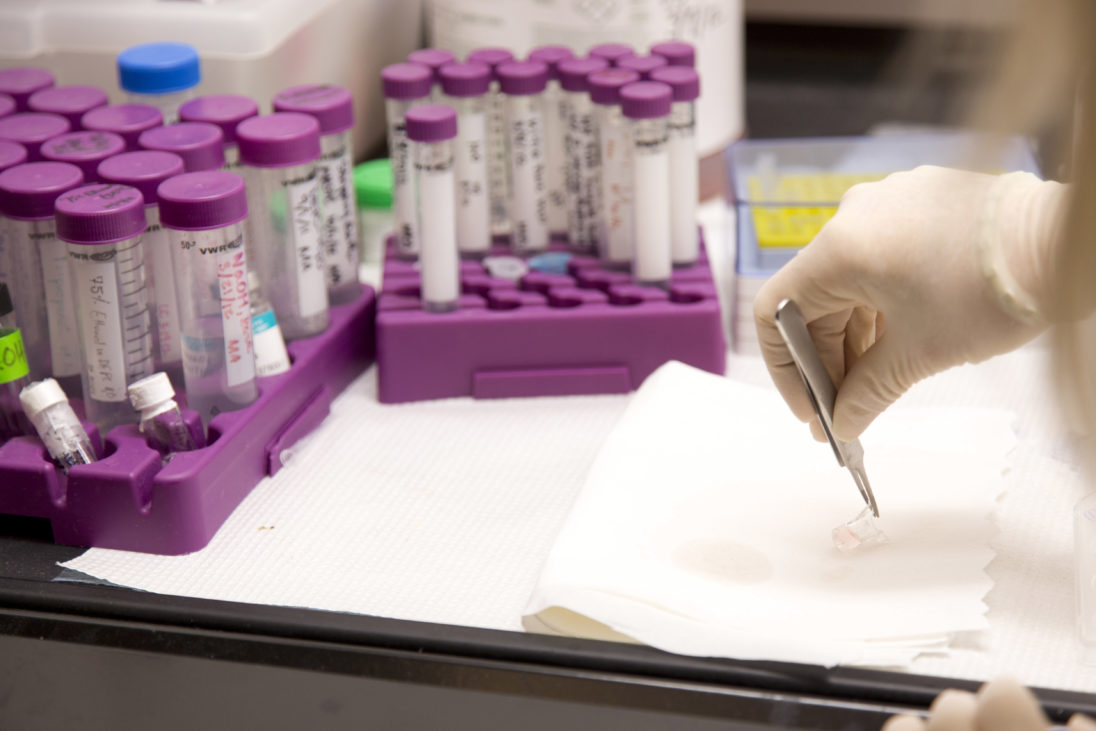 Lab, course material fees are being eliminated UGA Today