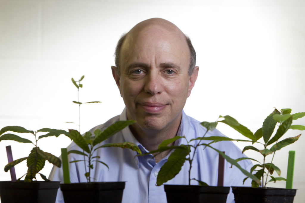 Faculty member’s innovation leads to $10K forestry prize