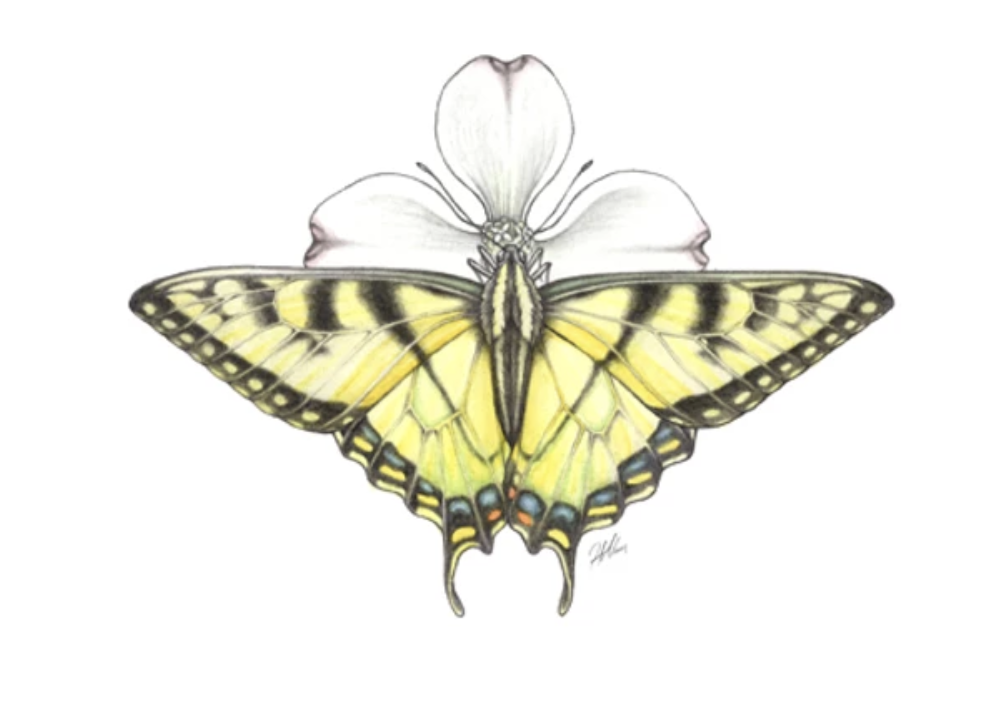 Student’s artwork raises money for pandemic