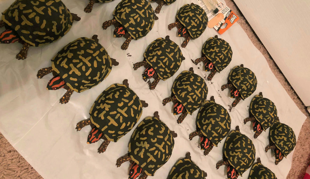 3D printers used to create turtles for field work