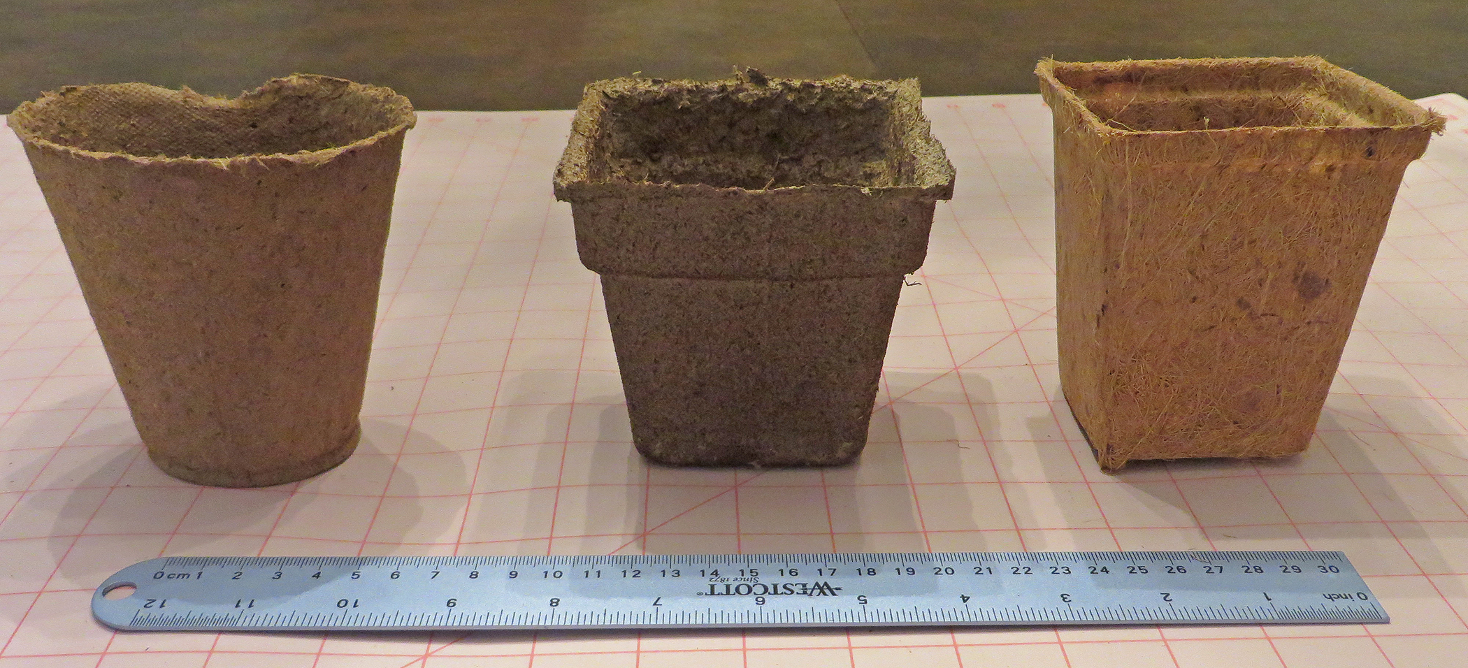 https://news.uga.edu/wp-content/uploads/2020/11/biodegradable-containers-left-to-right-wood-pulp-fiber-cow-manure-coconut-coir.jpg