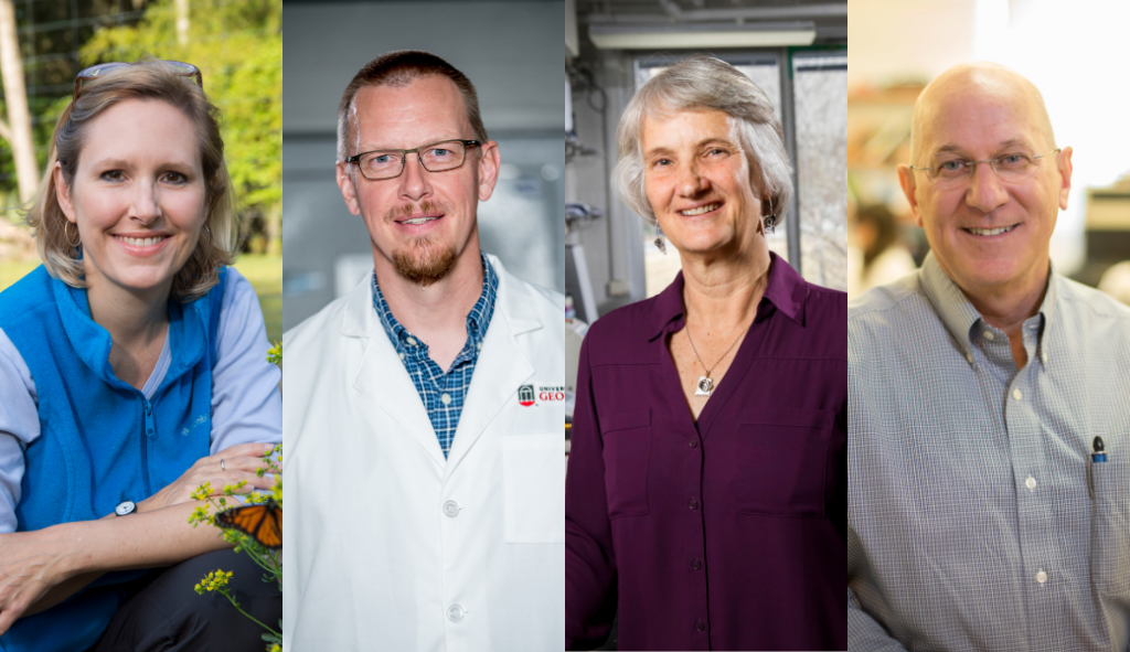 Four UGA faculty members named AAAS Fellows